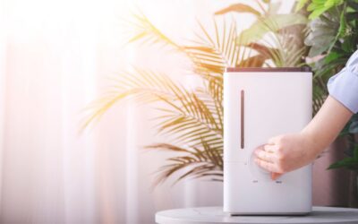 The Top 6 Indoor Air Quality Products That Improve Your Home
